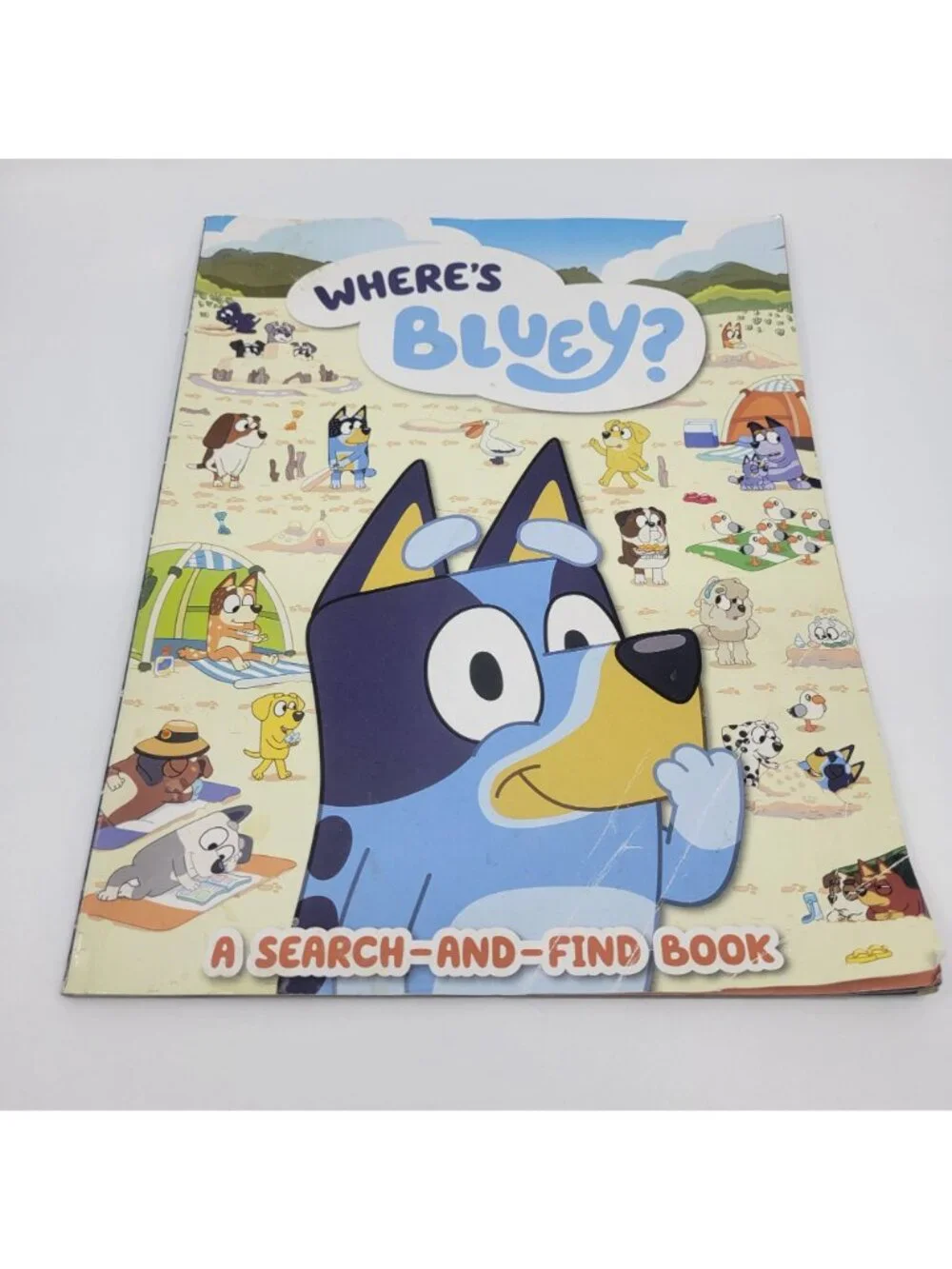 BLUEY Lot of Children's Books - BK314